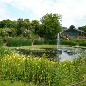 View of the pond at Church Farm with flowers and a water spout