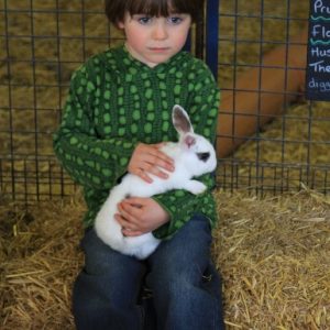 A little boy stroking a tame rabbit in the petting pens