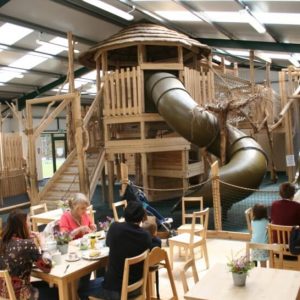 The treehouse is a must visit destination on winter days. Enjoy a cake and coffee while the children play