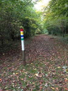 The walks around Church Wood are all marked and can take between 10 mins to an hour - peace and quiet!