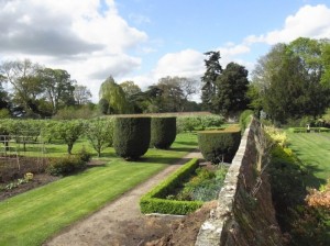 The walled kitchen garden filled with over 100 varieties of fruit trees